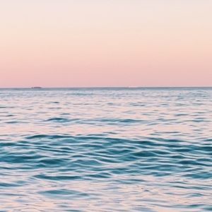 Meet your Posher, Sophia